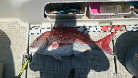 ARCADIAⅡ (アルカディアⅡ) 釣果