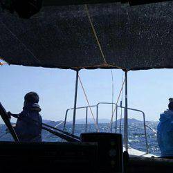 タイラバ遊漁船 ワンピース 釣果