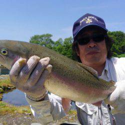 つりぼりあかし 釣果