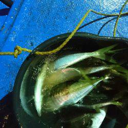 海龍丸（石川） 釣果