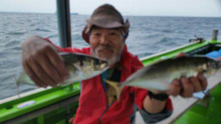 小島丸 釣果