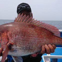 第三共栄丸 釣果