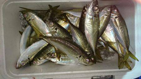 海龍丸（石川） 釣果