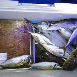 海龍丸（石川） 釣果