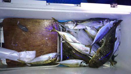 海龍丸（石川） 釣果