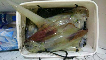 海龍丸（石川） 釣果