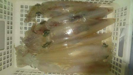 海龍丸（石川） 釣果