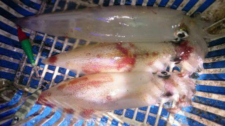 海龍丸（石川） 釣果