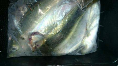 海龍丸（石川） 釣果