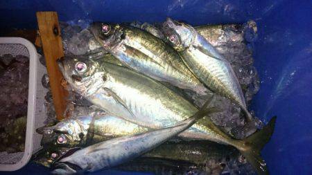 海龍丸（石川） 釣果