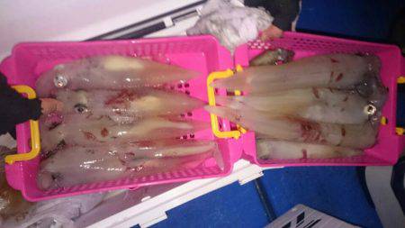 海龍丸（石川） 釣果