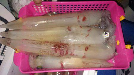 海龍丸（石川） 釣果