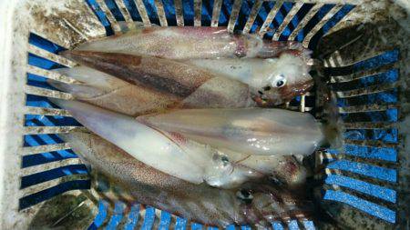 海龍丸（石川） 釣果