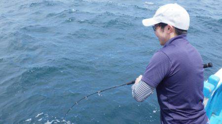 阿波哲 釣果