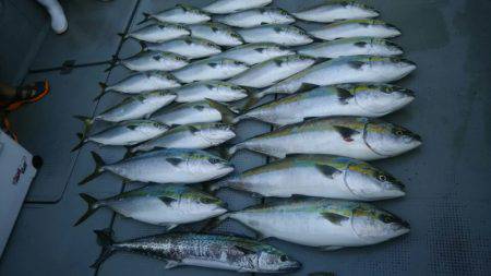 サンマリン 釣果