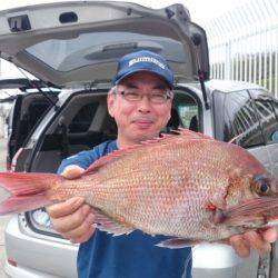 だて丸 釣果