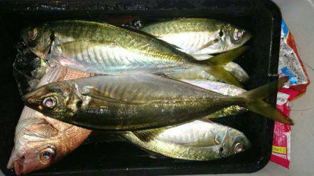 海龍丸（石川） 釣果