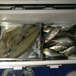 海龍丸(石川) 釣果