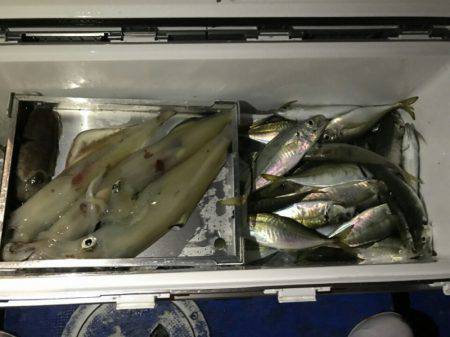 海龍丸(石川) 釣果