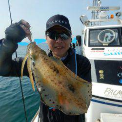 きずなまりん 釣果