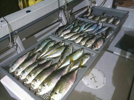 エンペラー 釣果