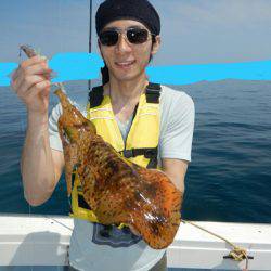 きずなまりん 釣果