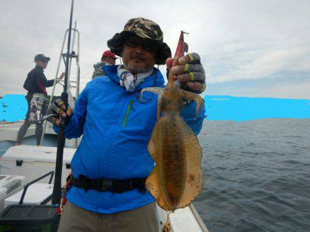 きずなまりん 釣果