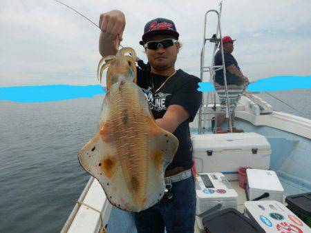 きずなまりん 釣果