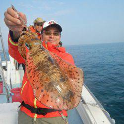 きずなまりん 釣果