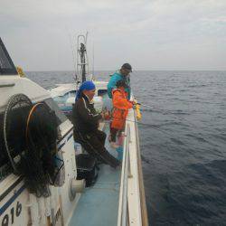 きずなまりん 釣果