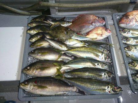 エンペラー 釣果