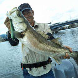 アマテラス 釣果