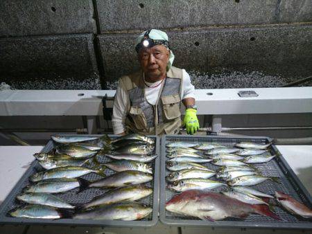 エンペラー 釣果