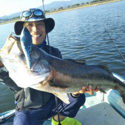 アマテラス 釣果