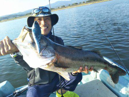 アマテラス 釣果