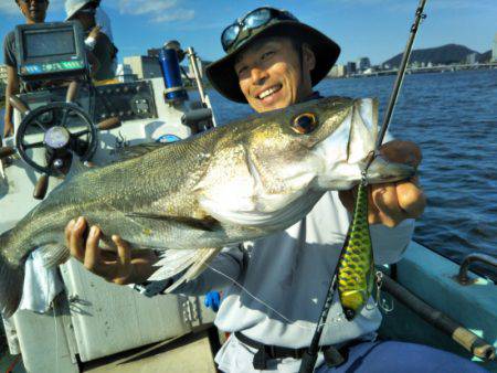 アマテラス 釣果