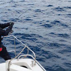 海友丸 釣果