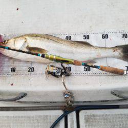 海龍丸（島根） 釣果