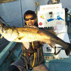 アマテラス 釣果