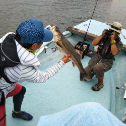 アマテラス 釣果