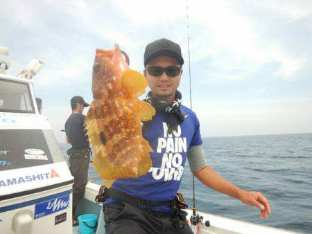 きずなまりん 釣果