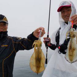 ソルトウォーターガイドフレンズ 釣果