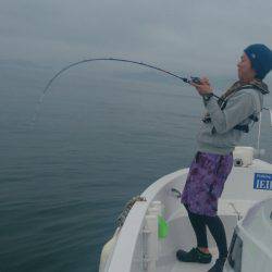 遊漁船 家入 釣果