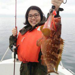 遊漁船 家入 釣果