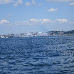 Chase（チェイス） 釣果