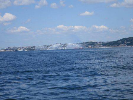 Chase（チェイス） 釣果