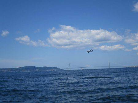 Chase（チェイス） 釣果