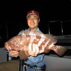 Chase（チェイス） 釣果