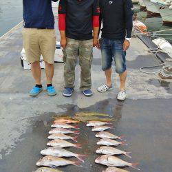 マリンガイド福丸 釣果