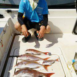 マリンガイド福丸 釣果